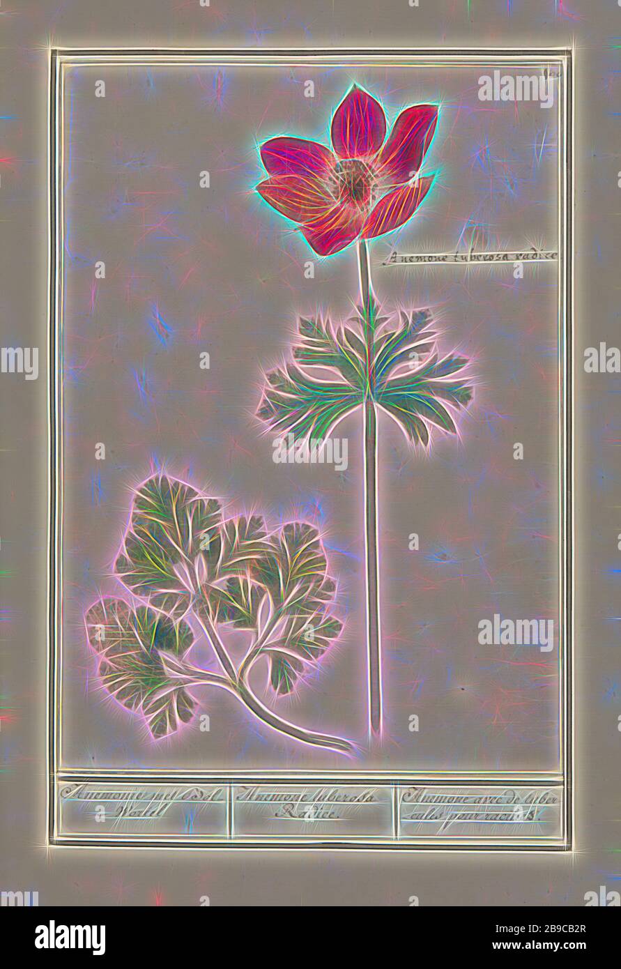 Root Top 100 High Resolution Stock Photography and Images - Alamy