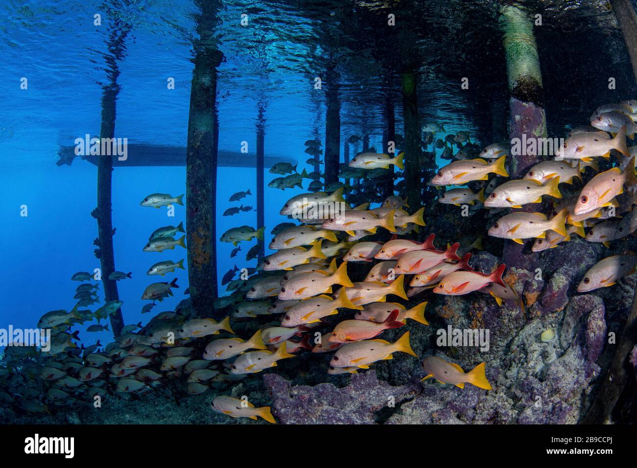 Protected by jetty hi-res stock photography and images - Alamy