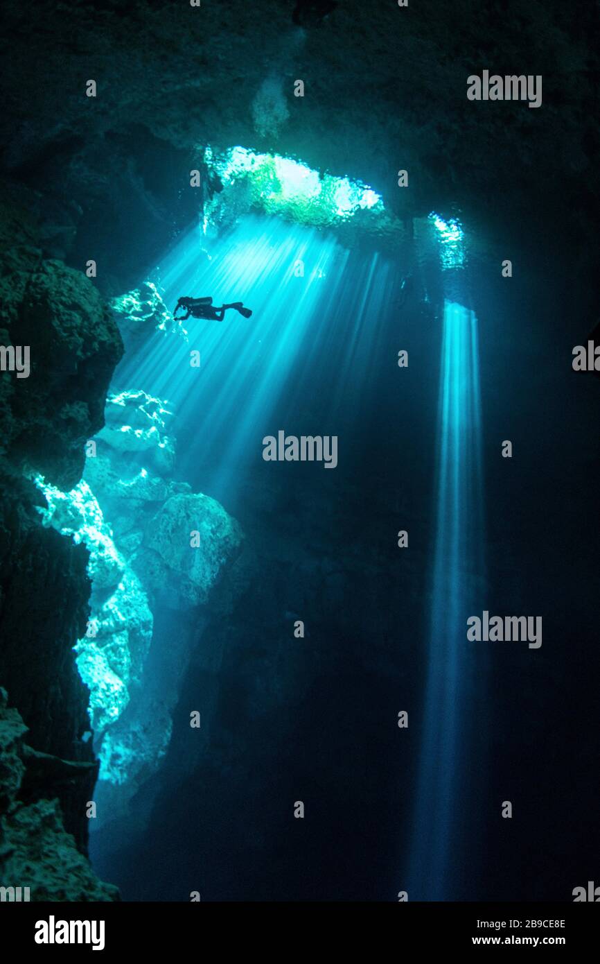 A diver explores a cenote in the Caribbean Sea, Mexico. Stock Photo