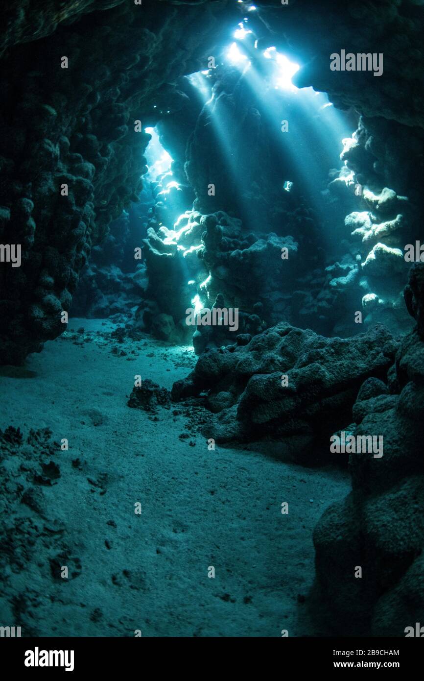 An underwater cavern has a path that is lit from above, Red Sea. Stock Photo