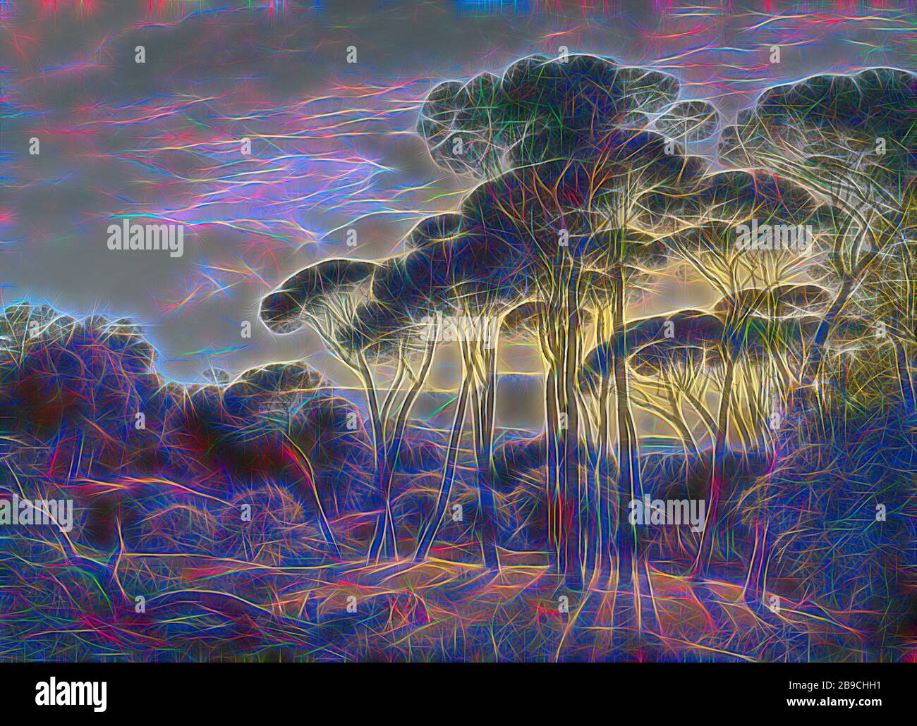 Italian Landscape with Umbrella Pines, Italian landscape with umbrella