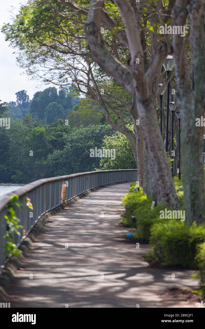 Vertical outdoor scene of a Waterfront walkway and the nature. Singapore Stock Photo