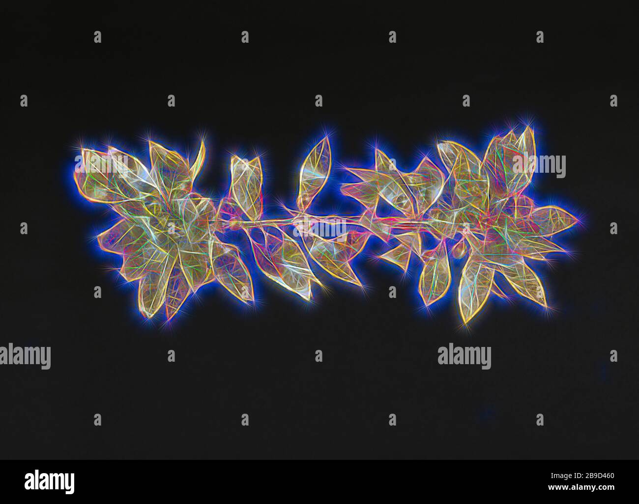 300 100 High Resolution Stock Photography And Images Alamy