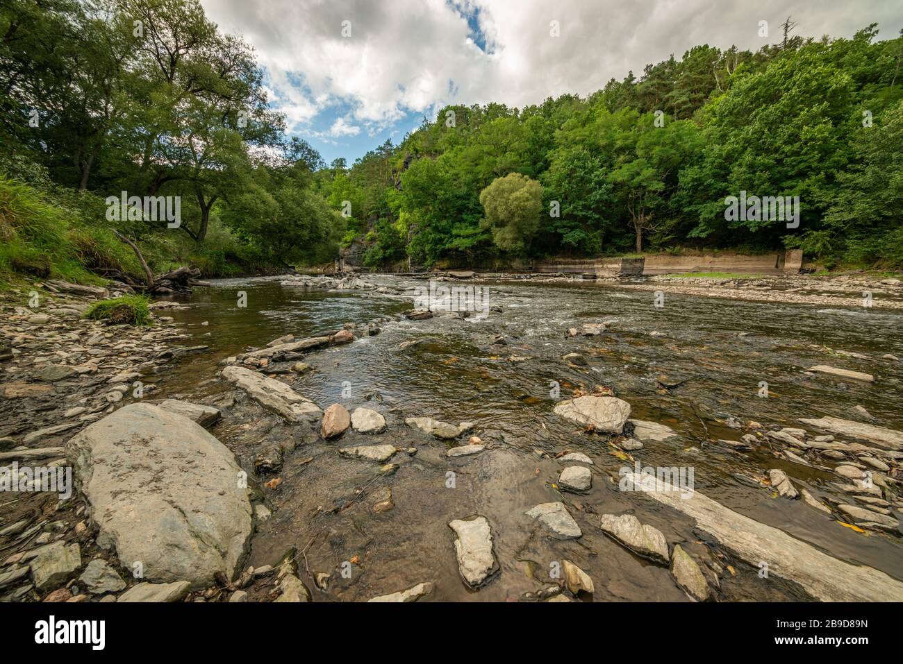 river with low water level showing rocky bottom in forests, landscape Stock Photo