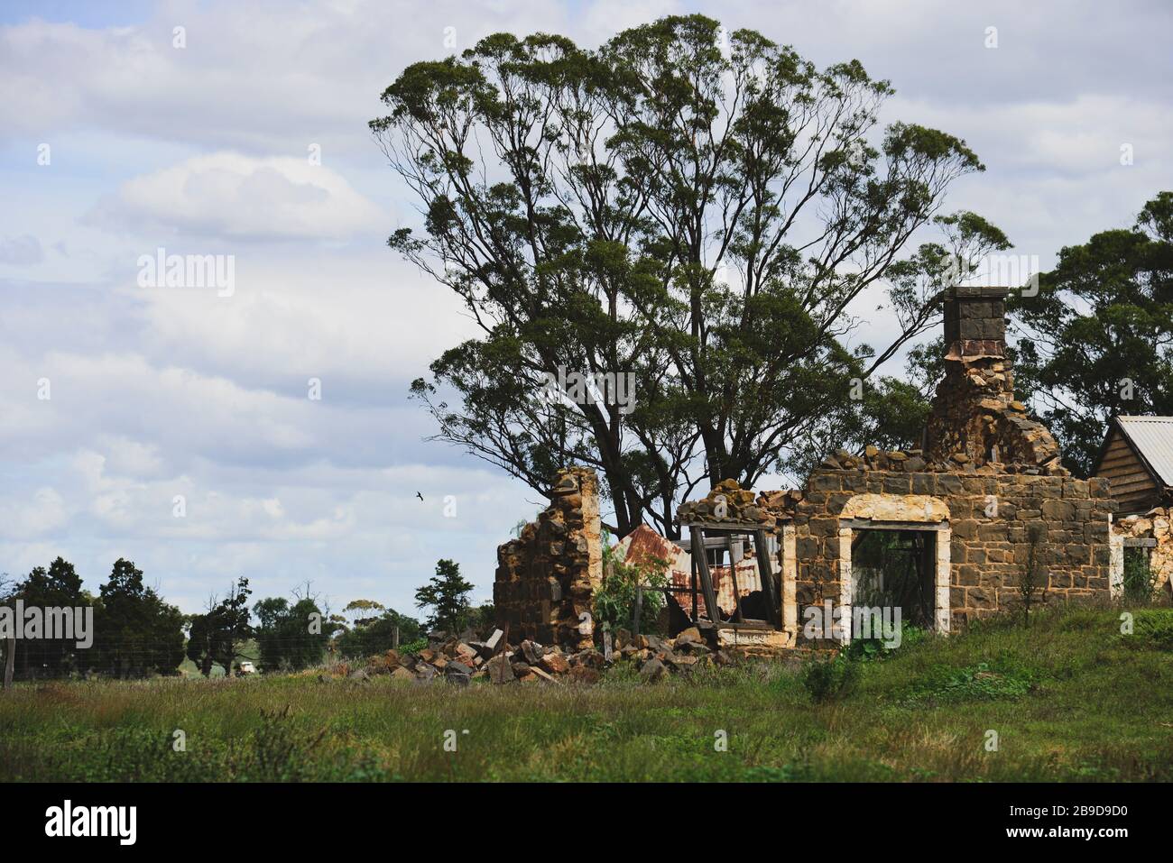 Old Stone Farmhouse in Disrepair and Falling Down Under Tree Stock Photo