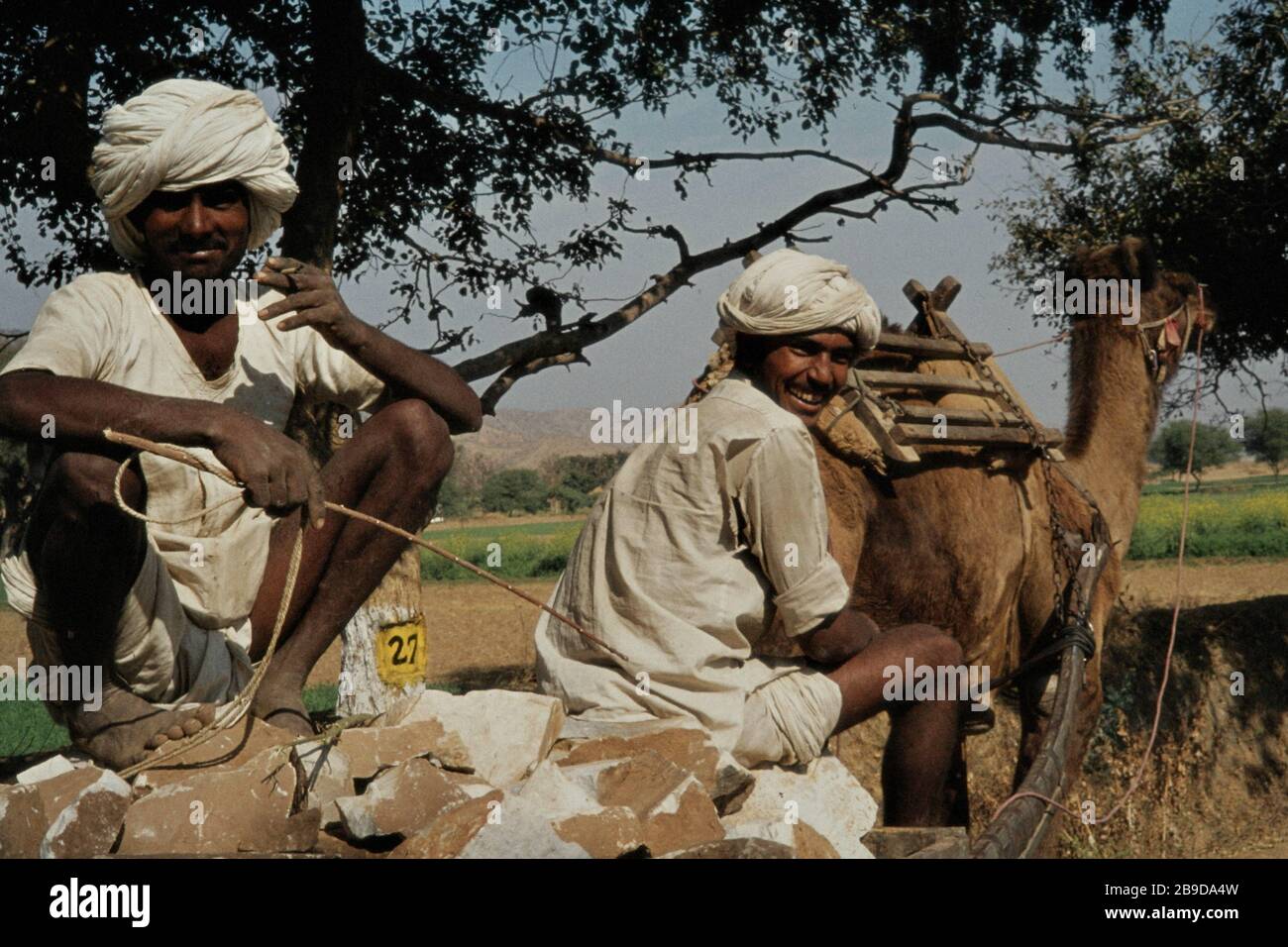 Two camel drivers are smoking a cigarette next to their animal at the roadside near Kokus. [automated translation] Stock Photo