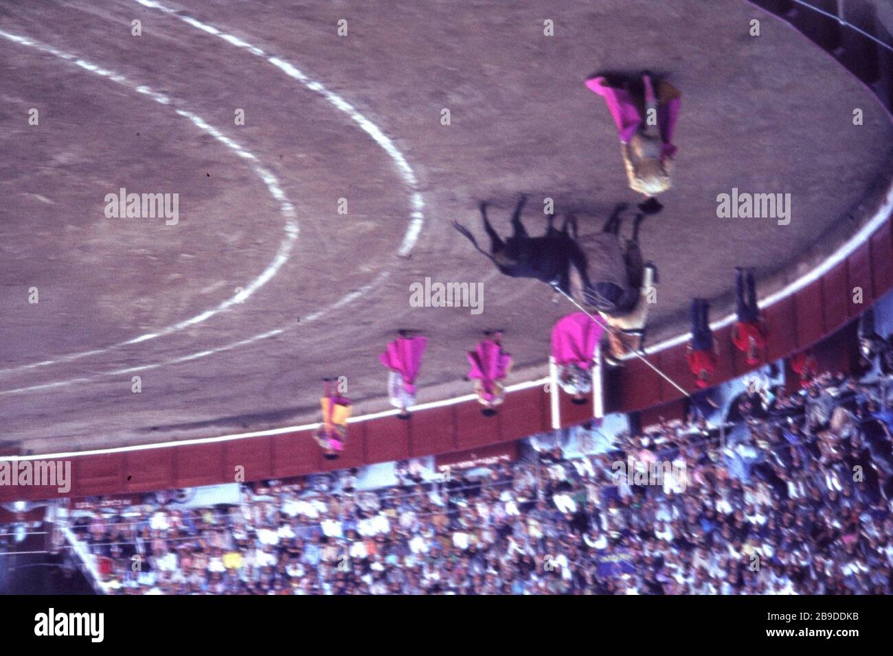 In a bullring in Barcelona, a mounted picador fended off four attacks of the charging bull with a lance during the first phase (suerte de varas). [automated translation] Stock Photo