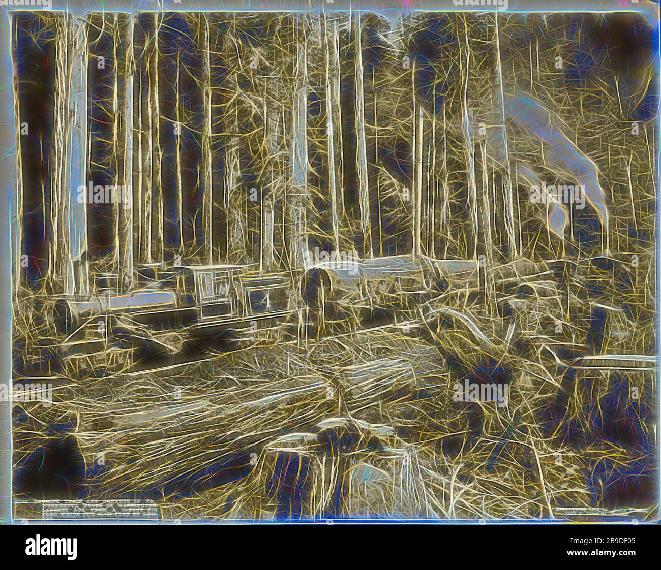 Darius kinsey hires stock photography and images Alamy