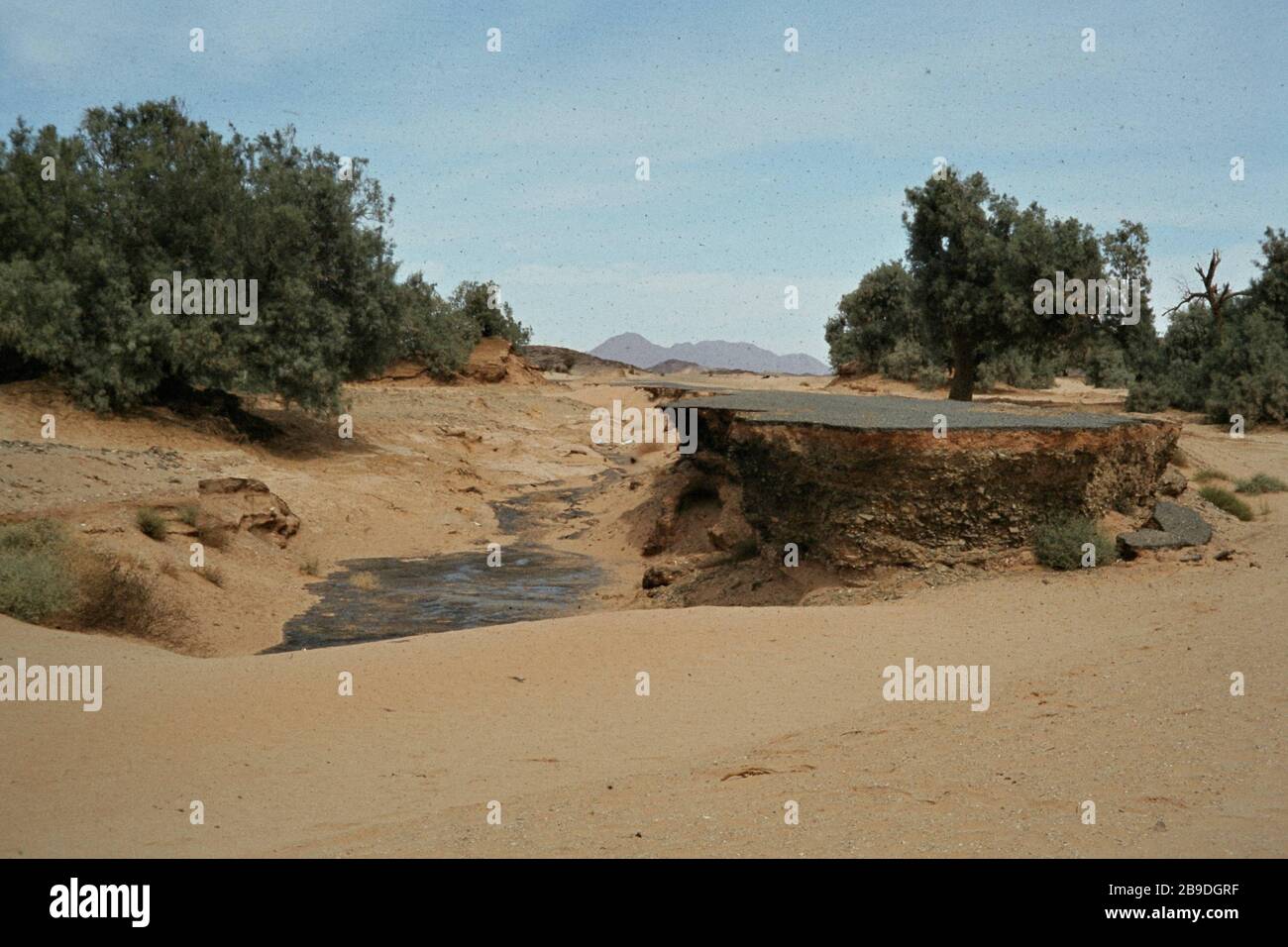 A Waterhole On The Plateau Du Tademait With Mountains In The Background A Waterhole On The Plateau Du Tademait With Mountains In The Background Automated Translation 2B9DGRF