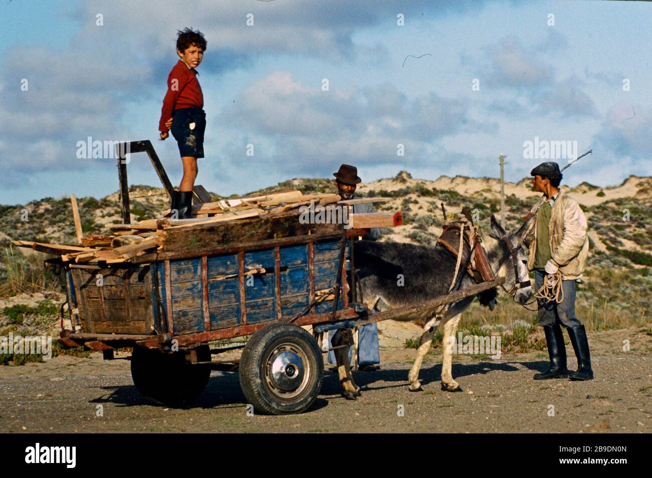 Two Men Are Standing By A Cart Pulled By A Donkey The Wagon Is Loaded With Wooden Slats On The Wagon Stands A Little Boy Automated Translation Stock Photo Alamy