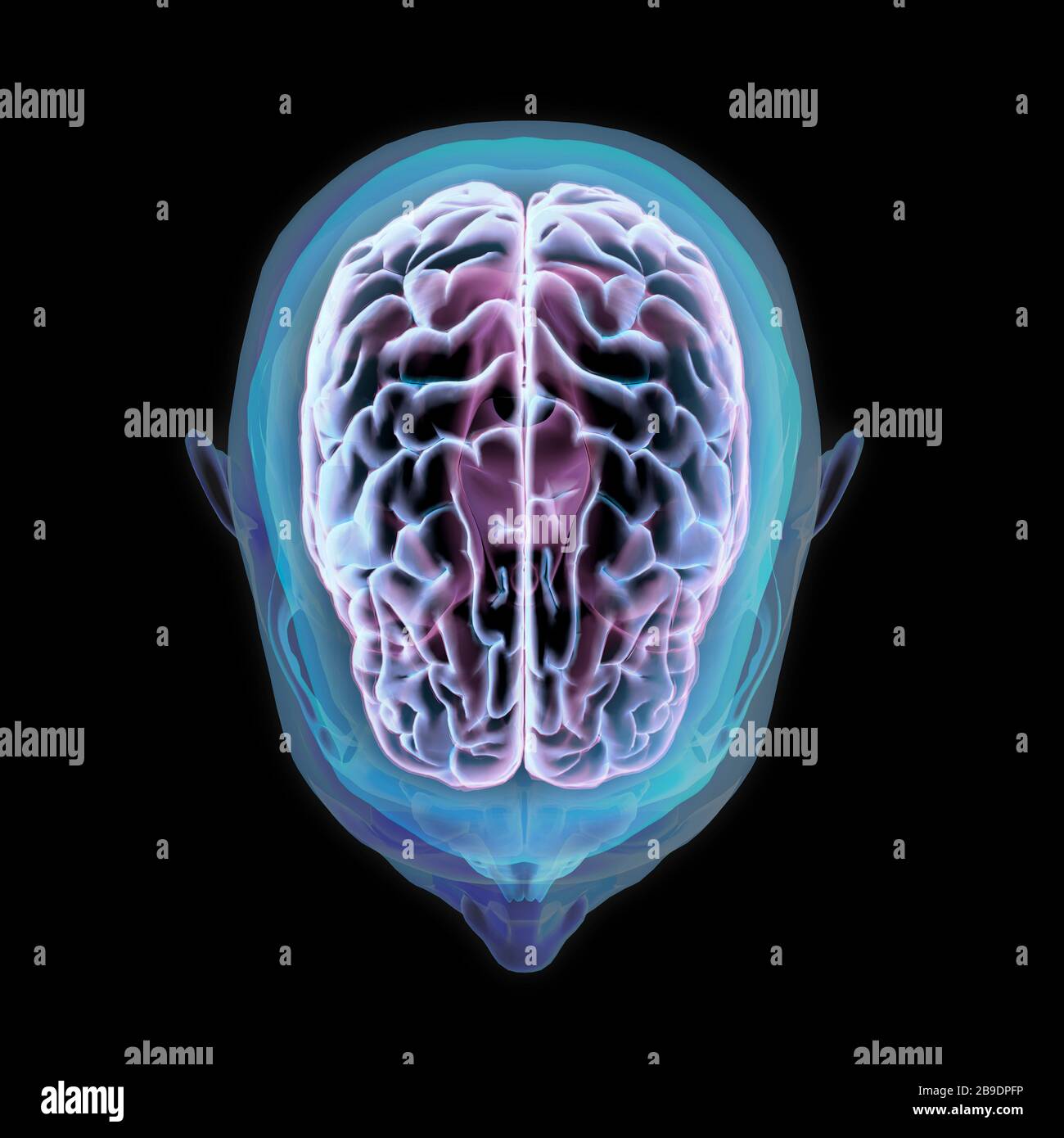 3D rendering of human head and brain with glow, top view on black background. Stock Photo