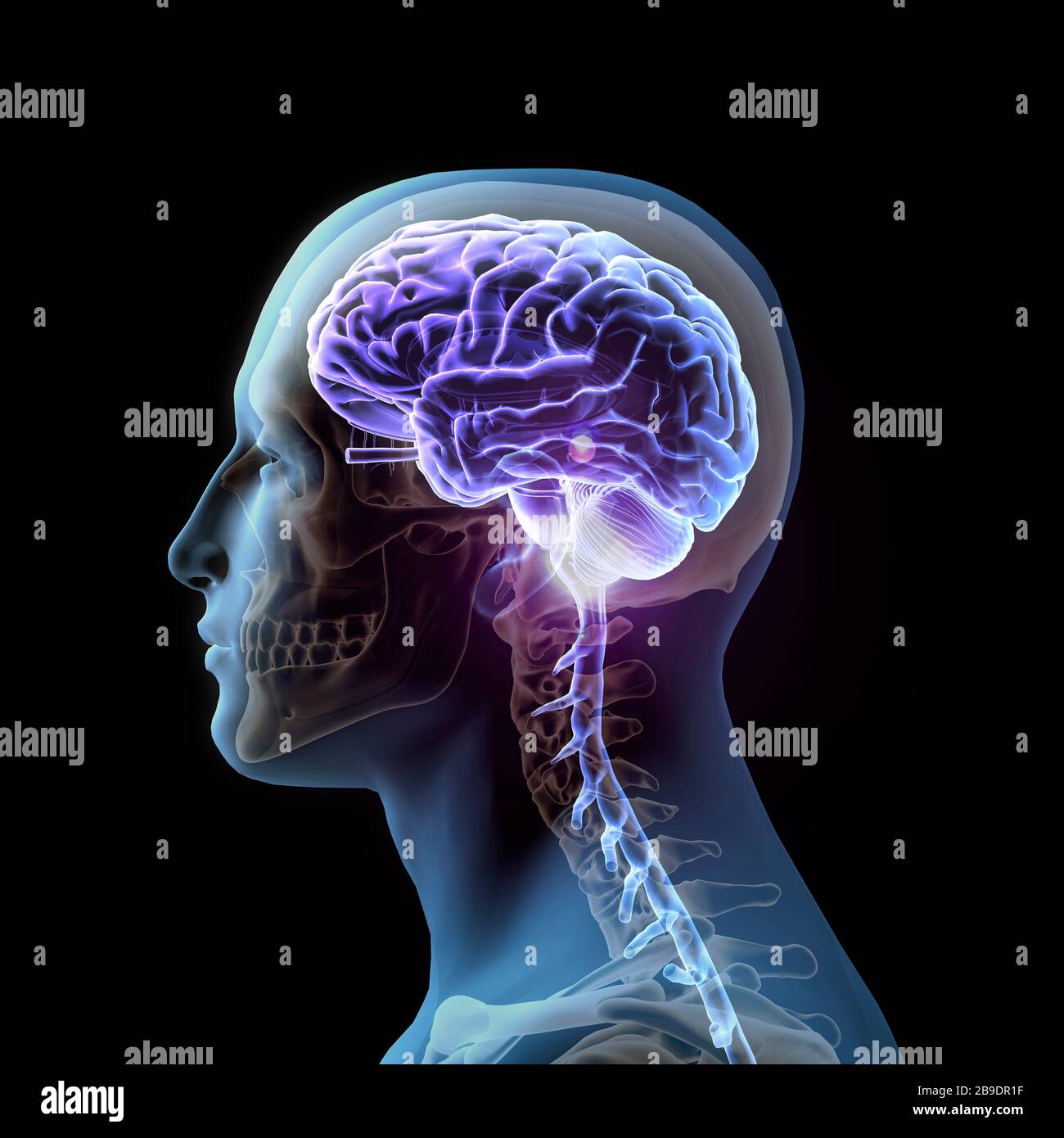 Side view of man with illuminated brain and skull, on black background. Stock Photo