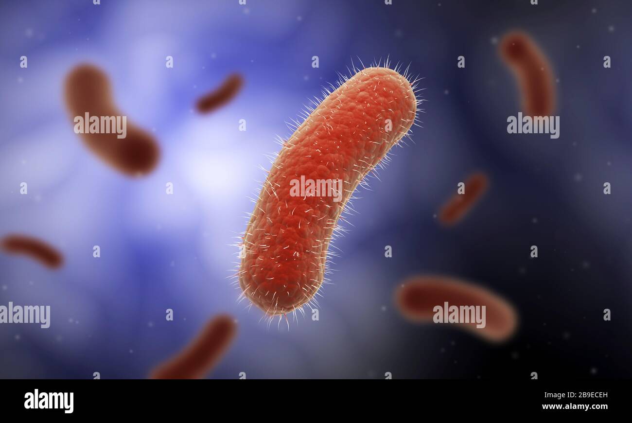 Conceptual image of the Bacillus bacteria. Stock Photo