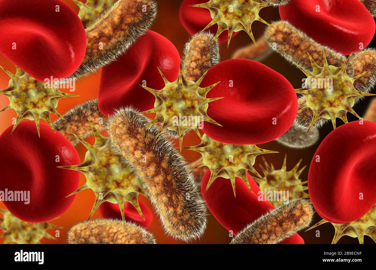 Conceptual image of bacteria and virus with blood cells. Stock Photo