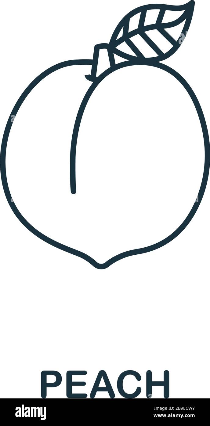 Peach icon from fruits collection. Simple line element Peach symbol for