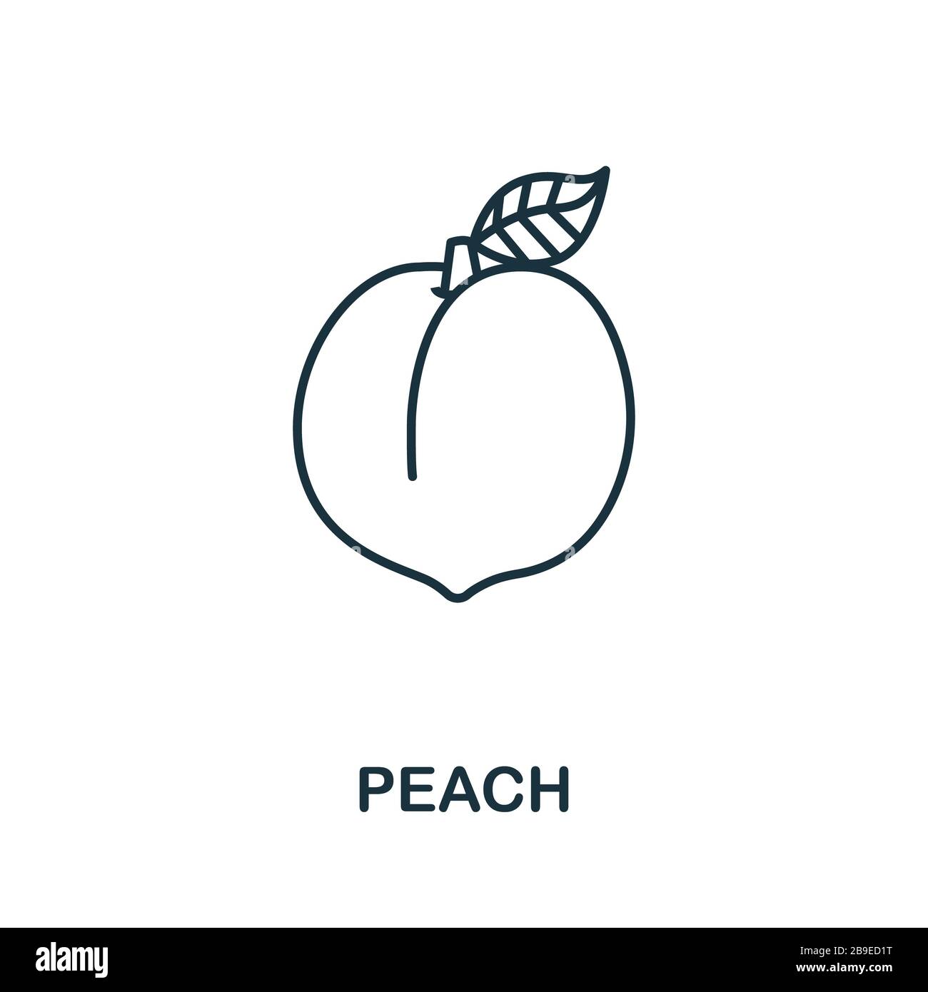 Peach icon from fruits collection. Simple line element Peach symbol for