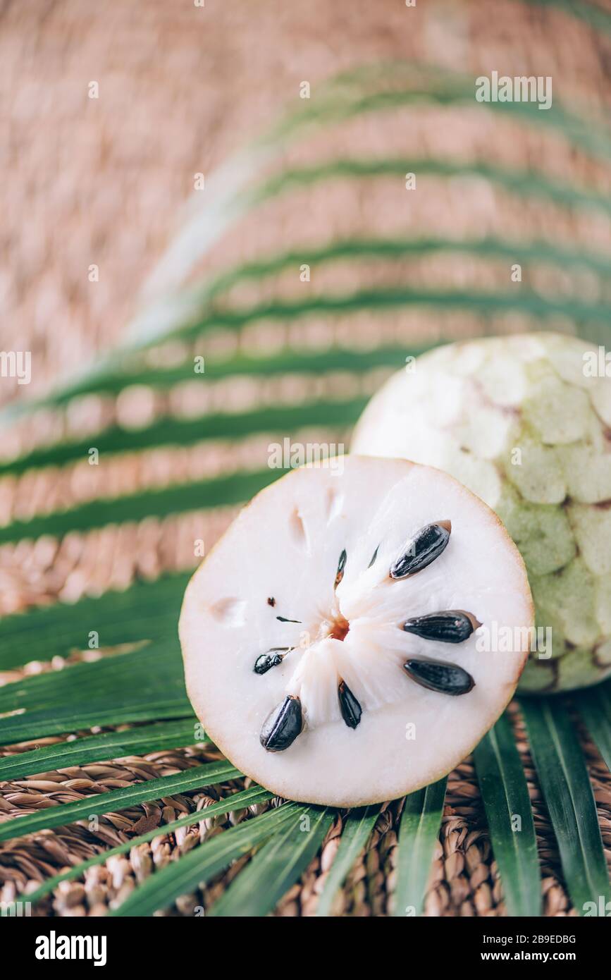 Annona Muricata Or Soursop Graviola And Guyabano With Palm Leaves On Rattan Background Copy Space Creative Design Banner Summer Time Exotic Food Stock Photo Alamy Annona Muricata Or Soursop Graviola And Guyabano With Palm Leaves On Rattan Background Copy Space Creative Design Banner Summer Time Exotic Food Stock Photo Alamy