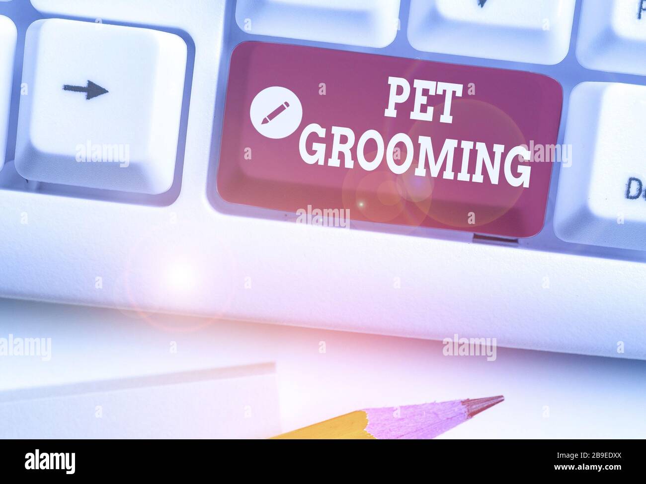 Grooming Text Text sign showing Pet Grooming. Business photo text hygienic care and ...