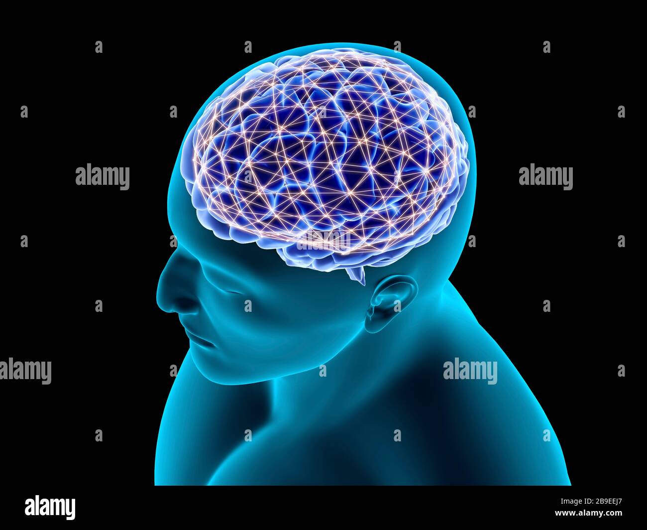 Conceptual image of a neural network in the human brain. Stock Photo
