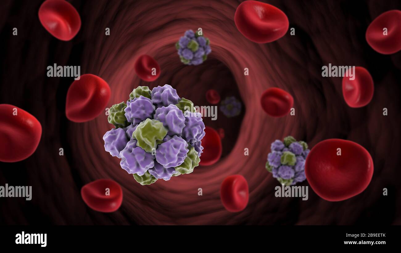 Conceptual image of the norovirus with red blood cells. Stock Photo