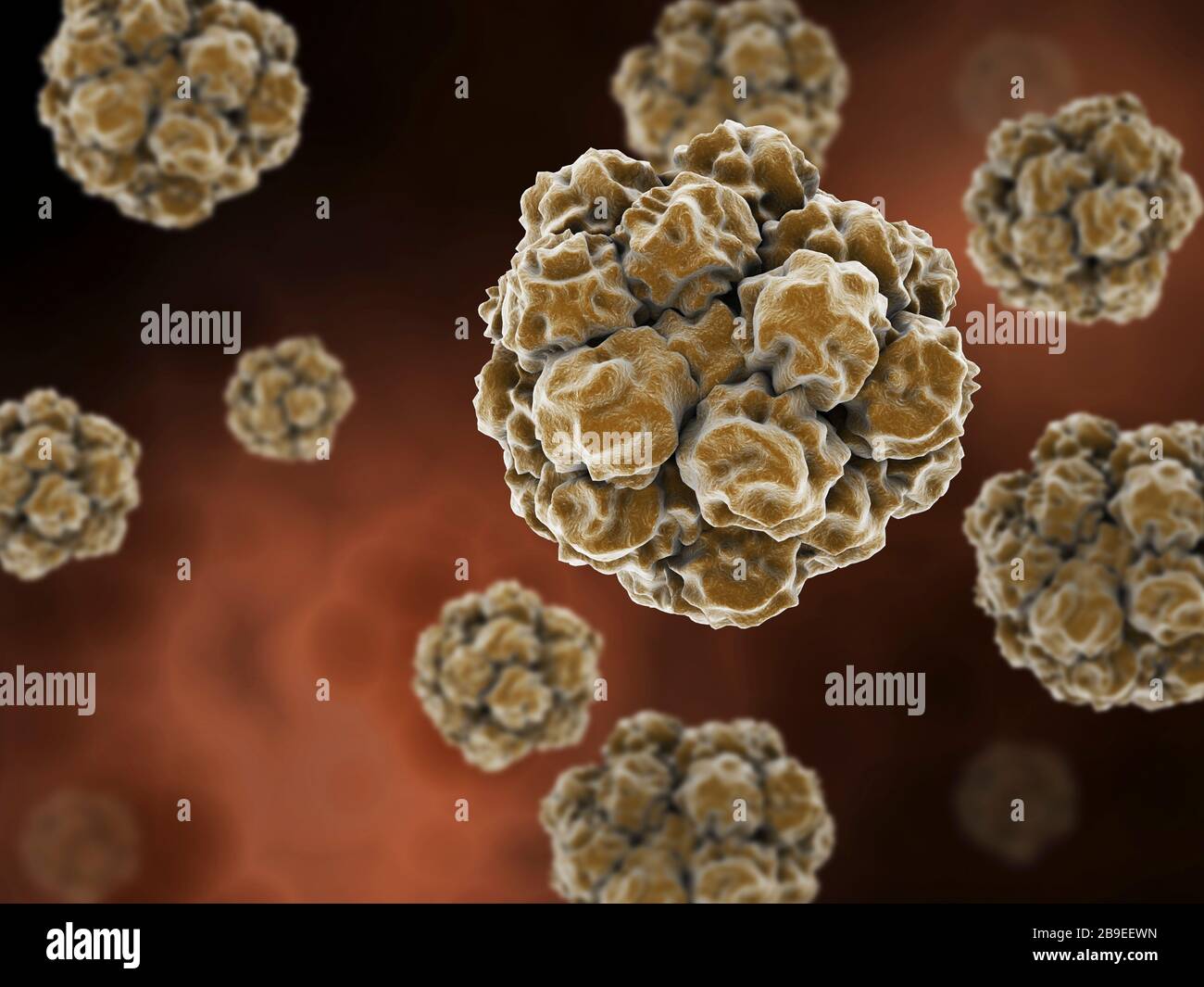 Conceptual image of the norovirus. Stock Photo