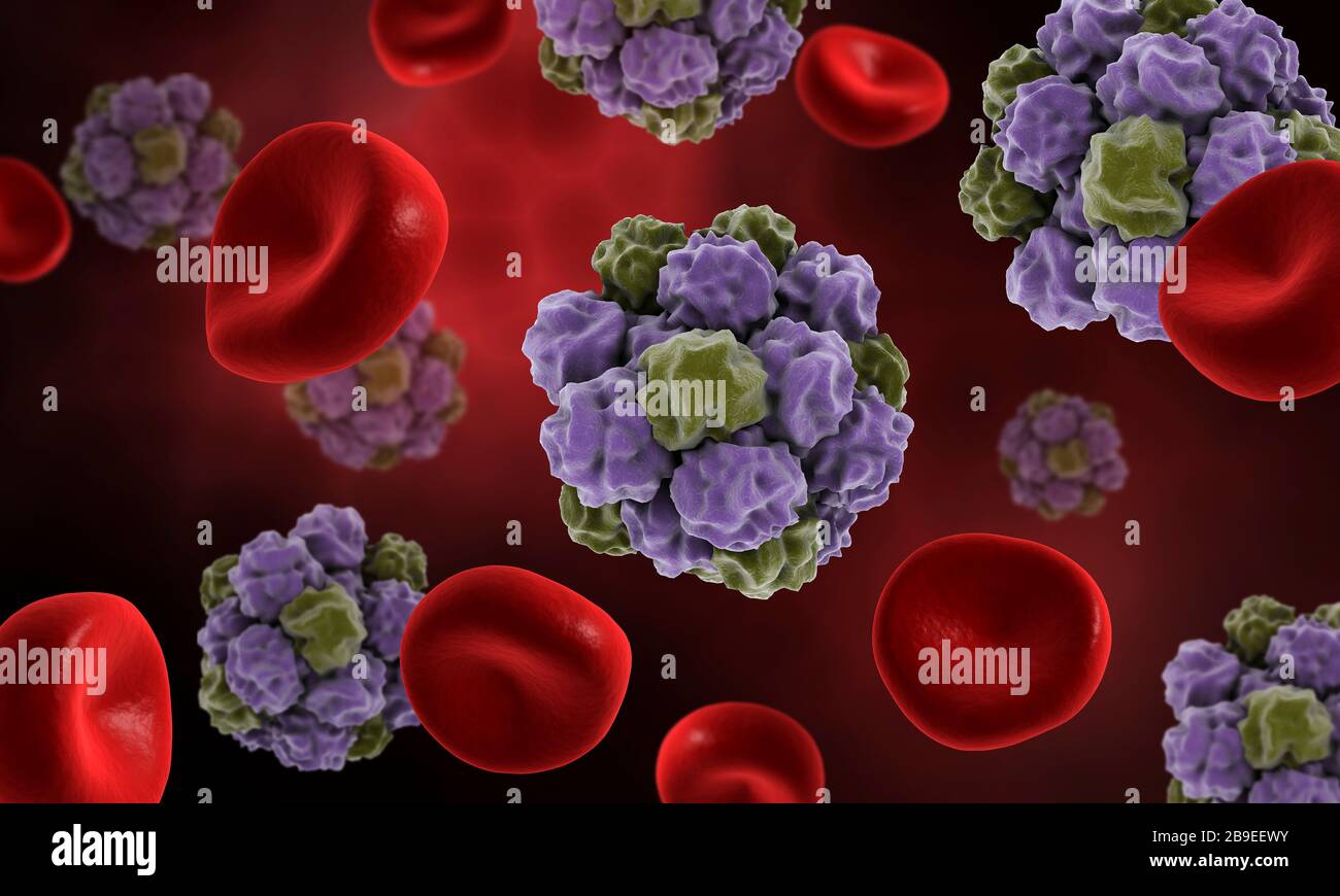 Conceptual image of the norovirus with red blood cells. Stock Photo