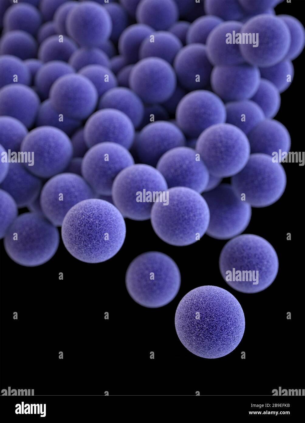 3D illustration of a cluster of Staphylococcus aureus (MRSA) bacteria. Stock Photo
