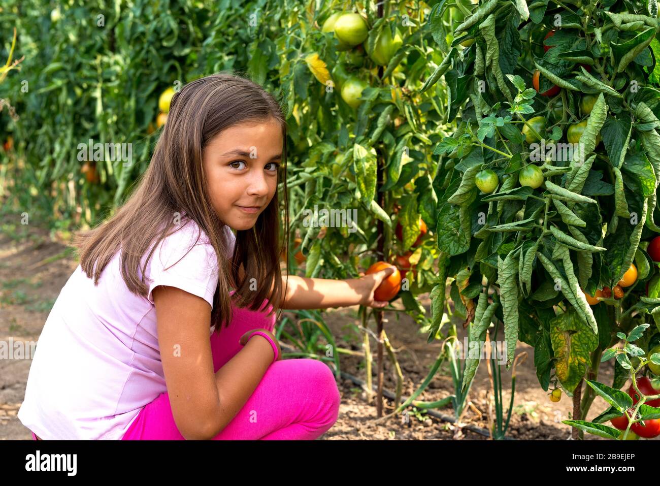 Little girl in vegetable garden - selective focus, copy space Stock ...