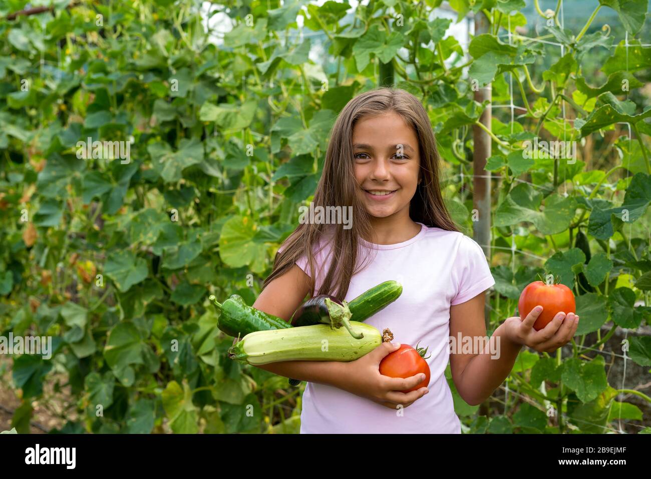 Little girl in vegetable garden - selective focus, copy space Stock ...