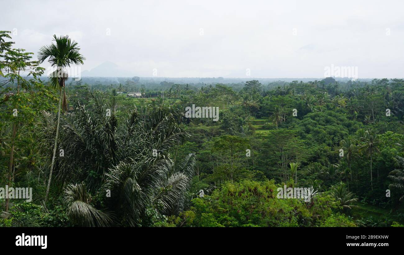 The beautiful landscape of Bali in Indonesia Stock Photo