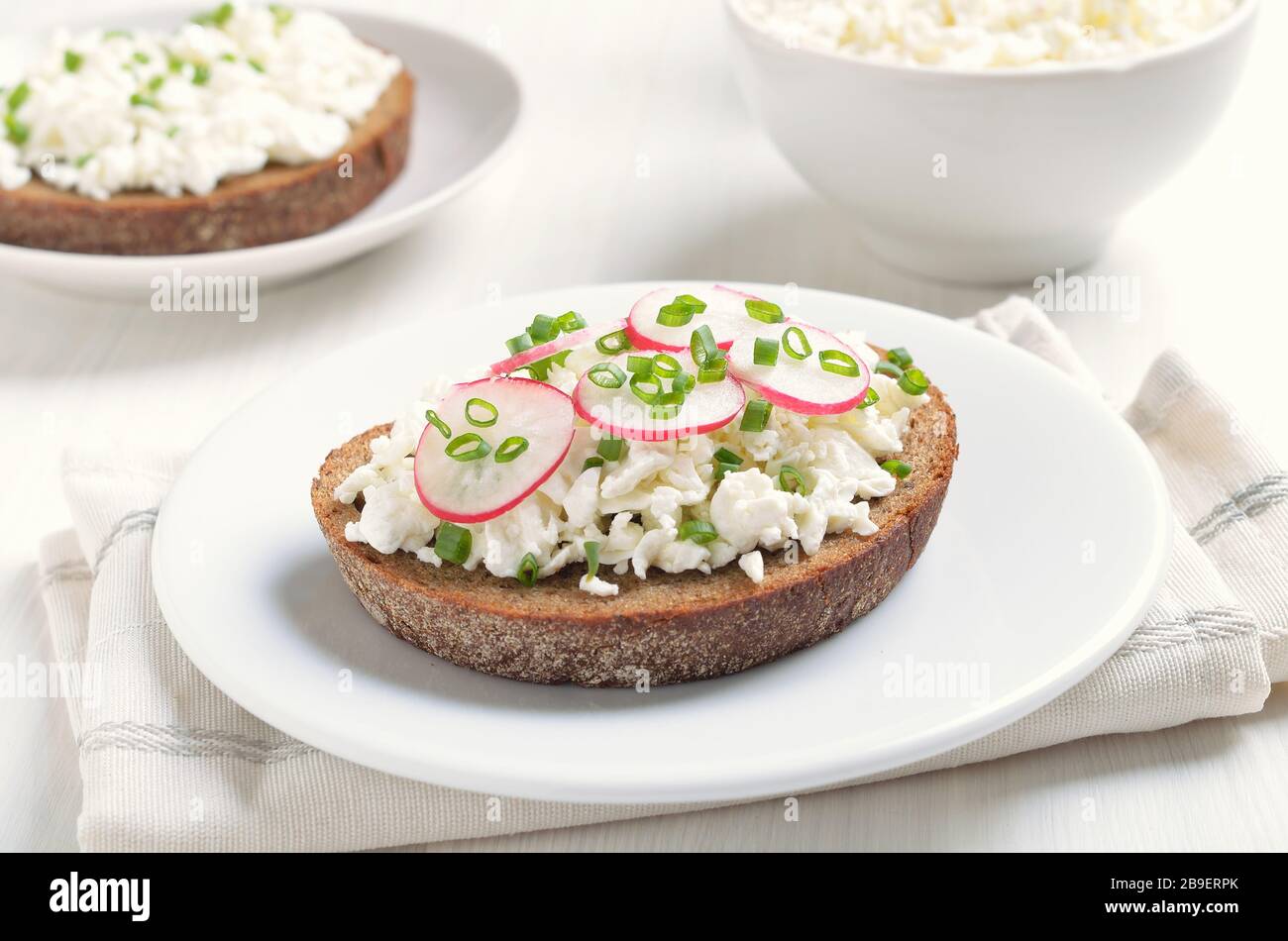 Appetizer with curd cheese, radish and green onion on white plate Stock Photo