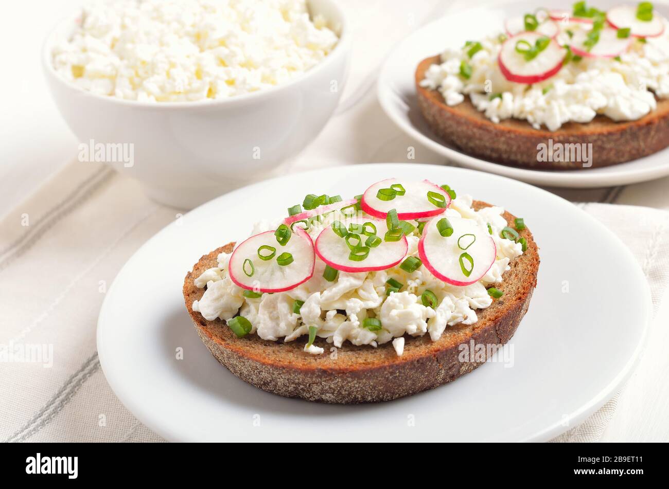 Bread with curd cheese, radish and green onion on white plate Stock Photo