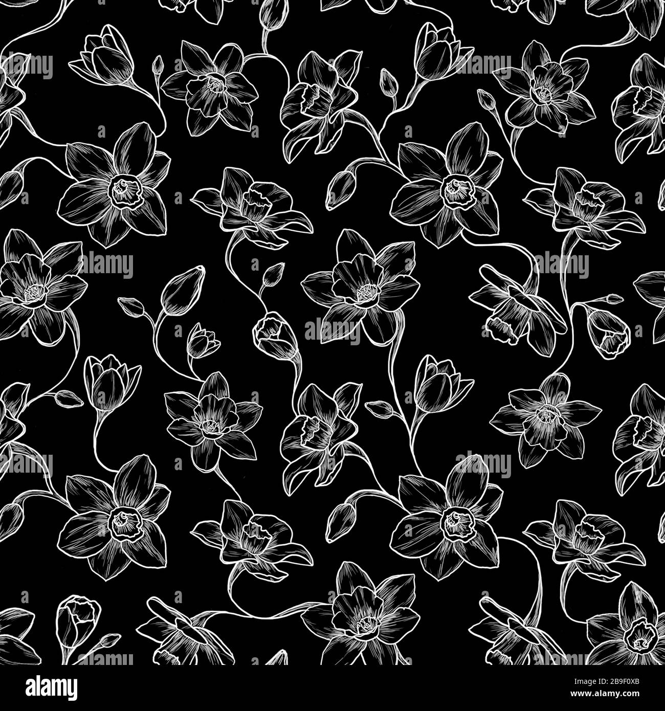 Seamless narcissus pattern, black background Stock Photo - Alamy