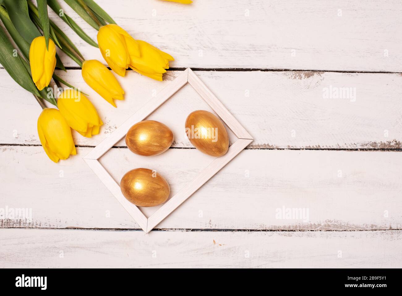 Easter background with blue and white eggs in nest and yellow tulips ...