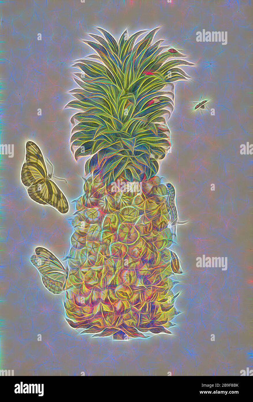 Pineapple (Ananas comosus) with metamorphosis of bamboo page (Philaethria dido) and twice-stabbed lady bird beetle (Chilocorus cacti), Maria Sybilla Meriaen Over de voortteeling en wonderbaerlyke veranderingen der Surinaemsche insecten, Merian, Maria Sibylla, 1647-1717, Sluyter, Peter, 1645-1722, Transfer engraving, hand-colored, 1719, From Metamorphosis insectorum Surinamensium (Insects of Suriname), Dutch edition, Reimagined by Gibon, design of warm cheerful glowing of brightness and light rays radiance. Classic art reinvented with a modern twist. Photography inspired by futurism, embracing Stock Photo