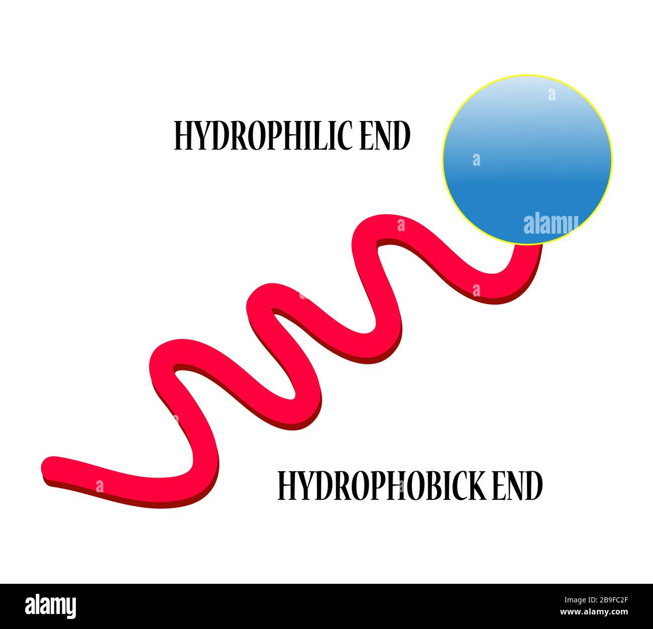 Soap molecule. Stearic acid (soap) molecule spacefill model Stock