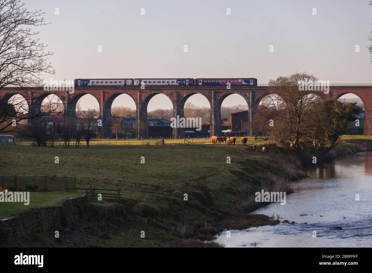 Northern Rail class 153 + class 158 sprinter trains crossing Whalley viaduct, Lancashire on the Ribble valley line. Stock Photo