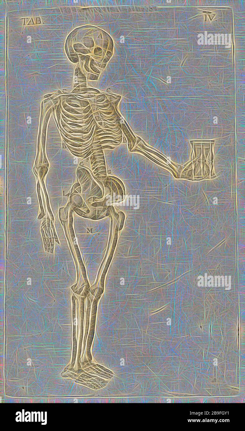 Johann bauhin hires stock photography and images Alamy