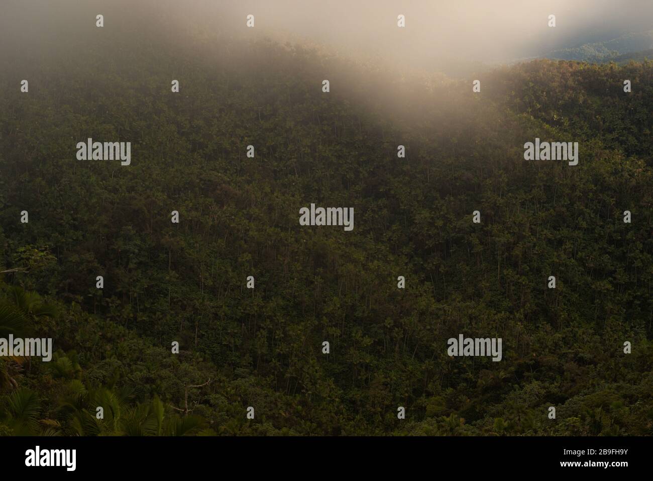 Scenic Puerto Rico Stock Photo