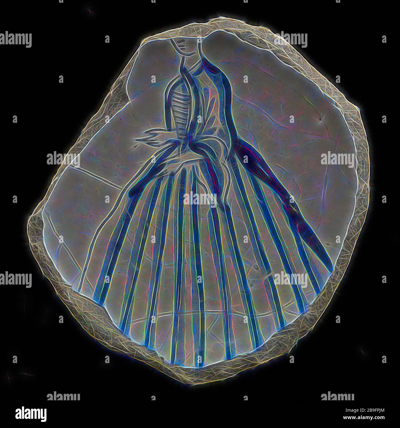 1940 Archeology High Resolution Stock Photography and Images - Alamy