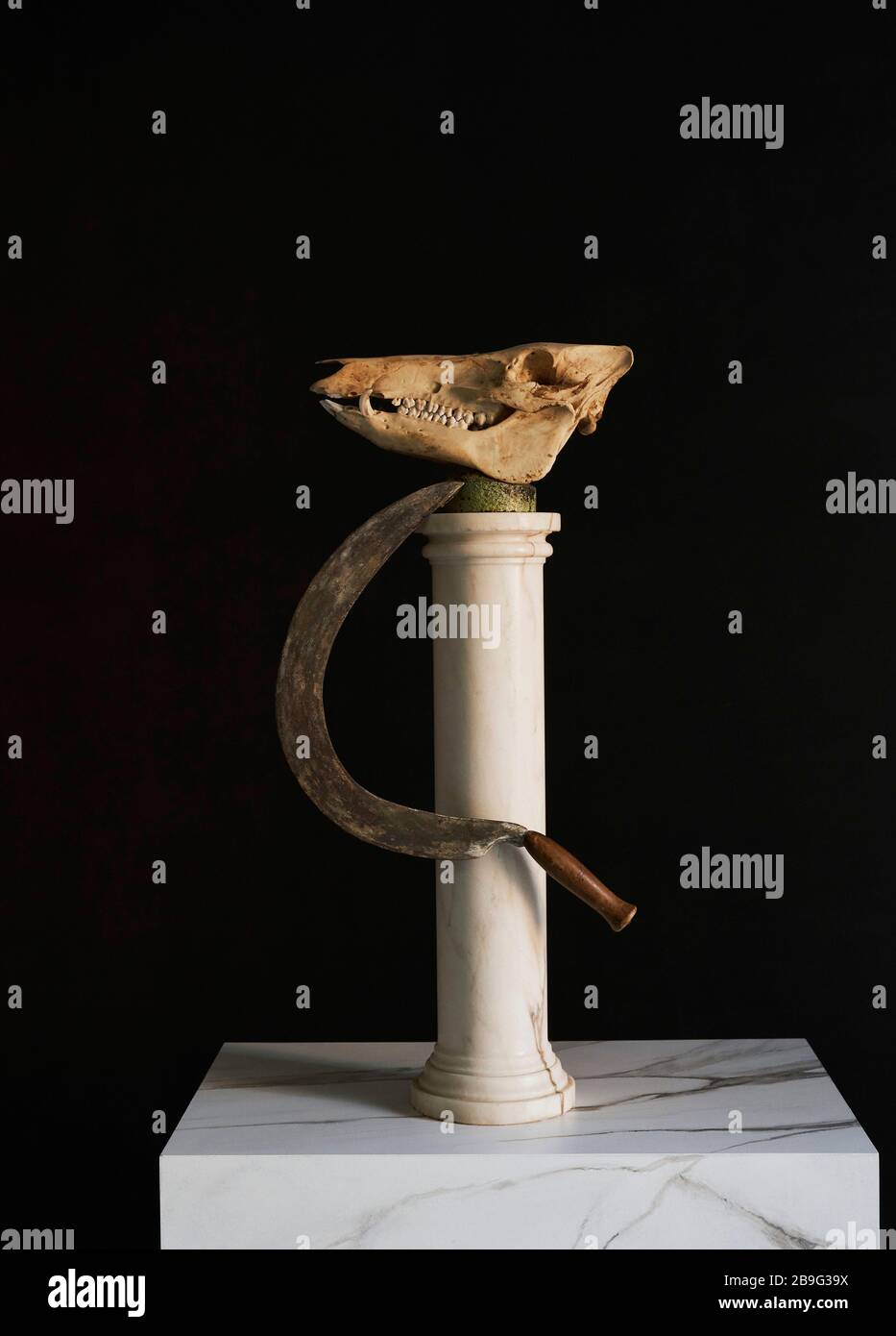 Animal skull and scythe on pedestal Stock Photo