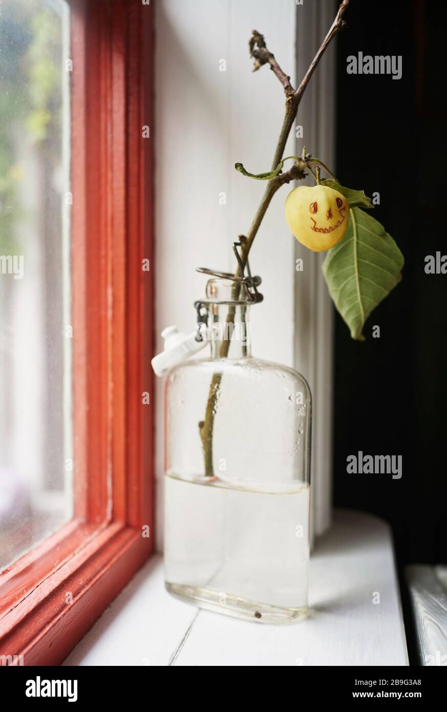 Smiley face on yellow cherry plum branch in window Stock Photo