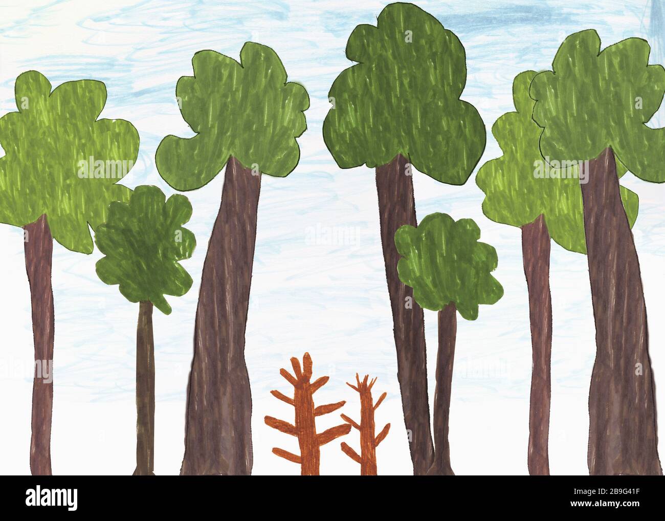 Childs drawing of big and small trees Stock Photo - Alamy