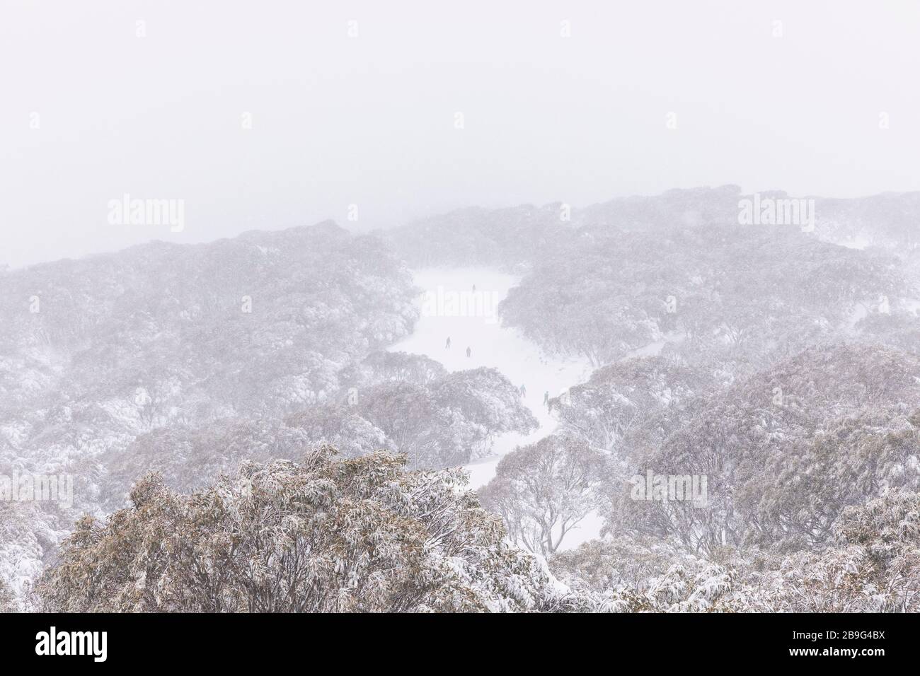 Scenic view skiers on snowy mountain slope, Falls Creek, Victoria, Australia Stock Photo