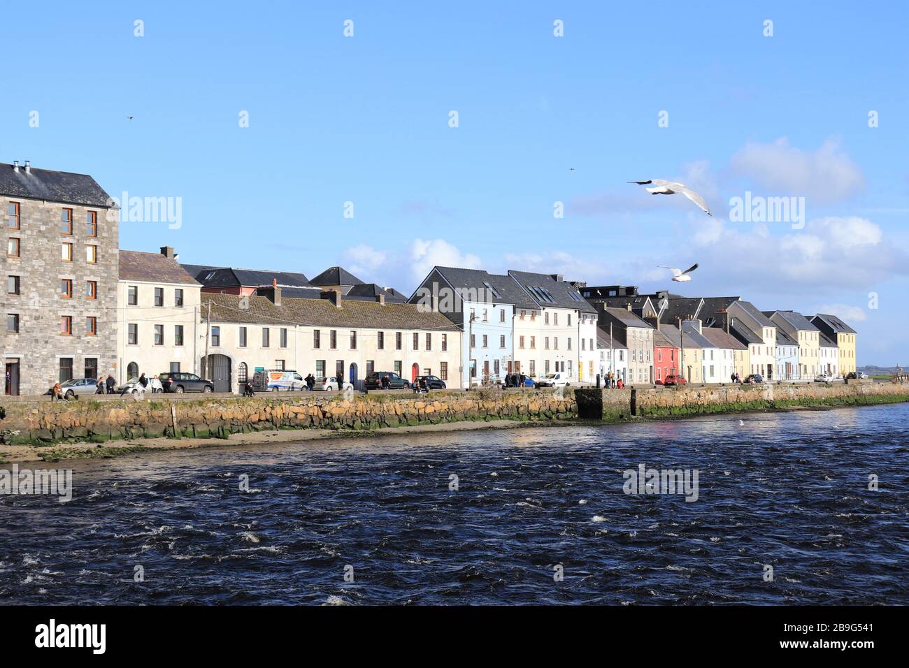choppy blue waters in the foreground, The  Long Walk, Galway City at the back, sea gulls flying in the sky Stock Photo