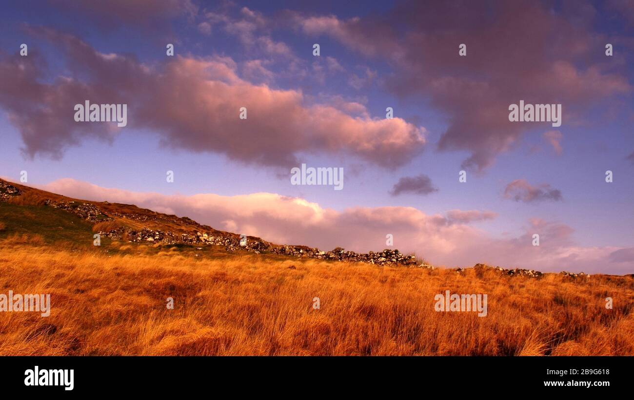 sunrise landscape in pink and orange tones with rusty autumn grasses, stone wall and mountains from Connemara, Galway, Ireland Stock Photo