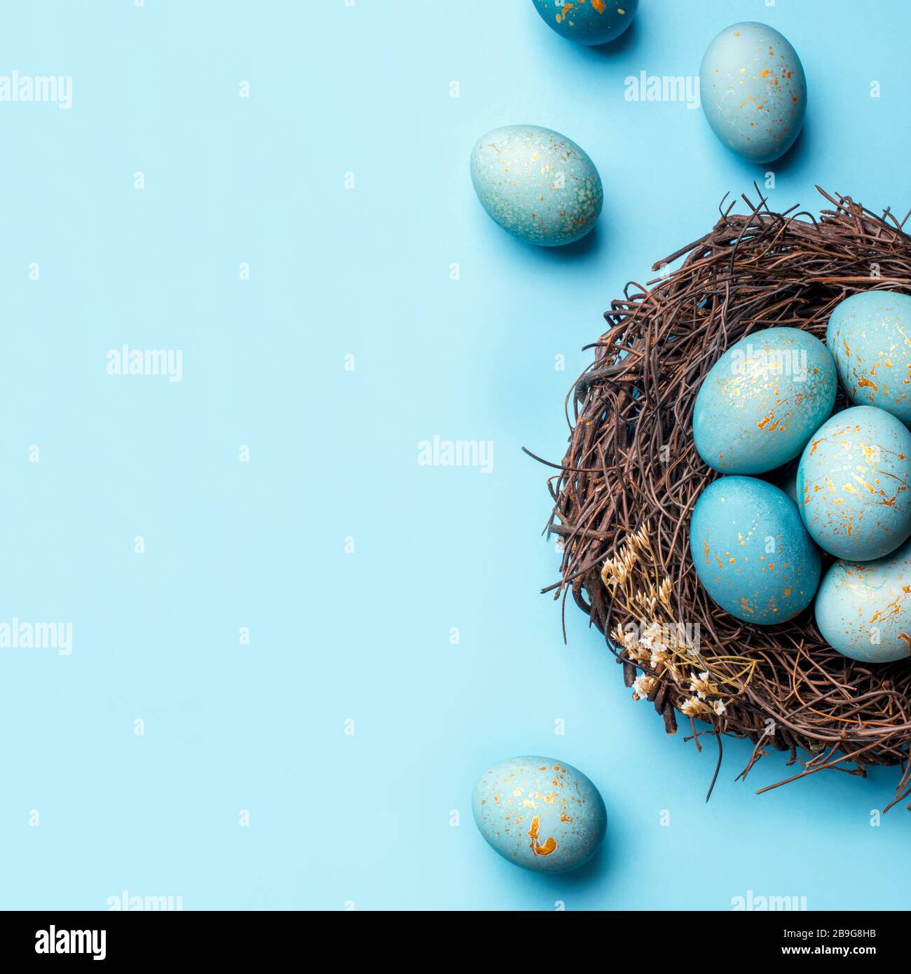 Easter eggs in nest on blue background Stock Photo - Alamy