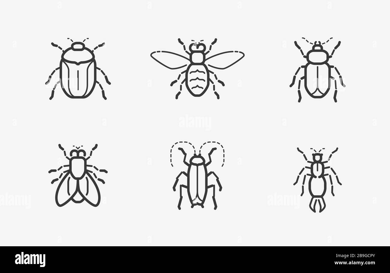 Insects icon set in linear style. Vector illustration Stock Vector