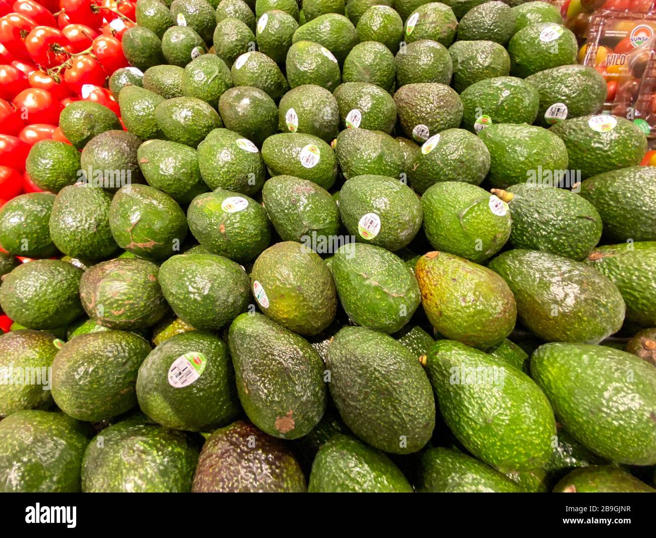 Orlando,FL/USA 3/4/20 Avocados in the fresh produce aisle of a
