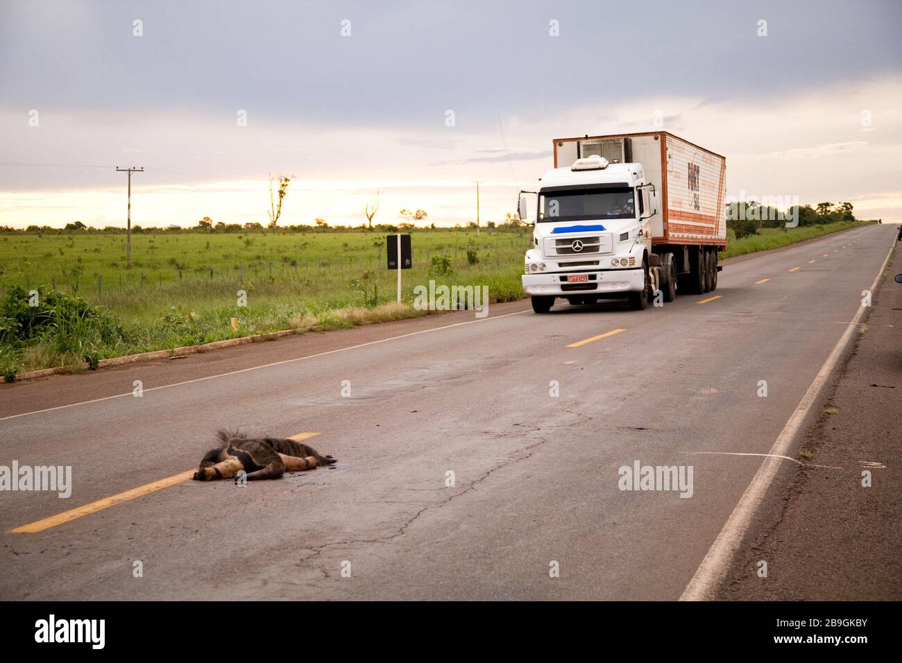 Terenos Mato Grosso do Sul fonte: c8.alamy.com